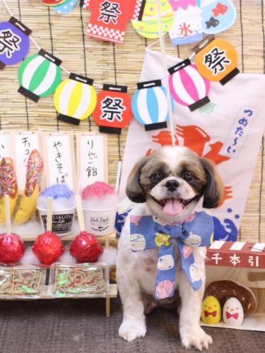 20240723うーたんくん